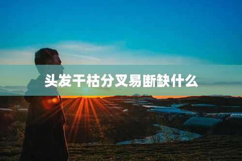 头发干枯分叉易断缺什么