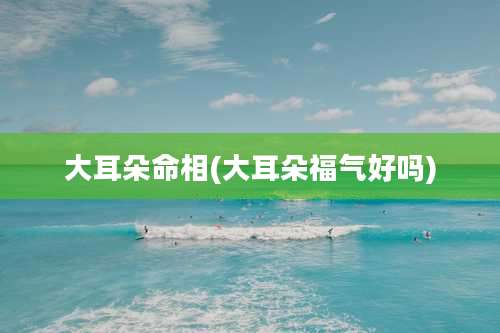 大耳朵命相(大耳朵福气好吗)