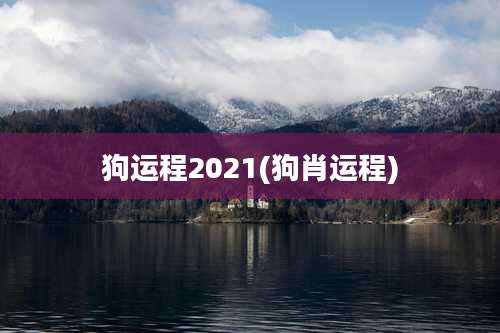 狗运程2021(狗肖运程)