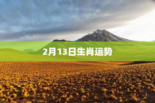 2月13日生肖运势