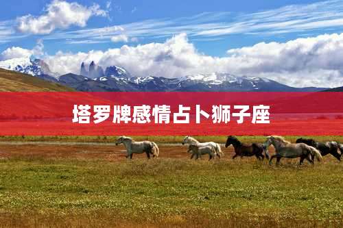 塔罗牌感情占卜狮子座