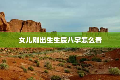 女儿刚出生生辰八字怎么看