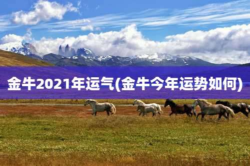 金牛2021年运气(金牛今年运势如何)