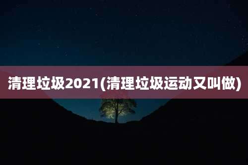 清理垃圾2021(清理垃圾运动又叫做)