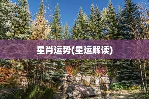 星肖运势(星运解读)