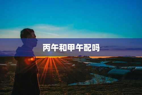 丙午和甲午配吗