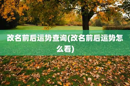 改名前后运势查询(改名前后运势怎么看)