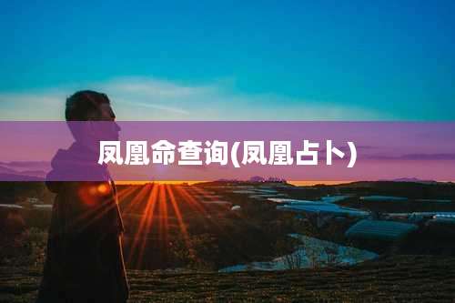 凤凰命查询(凤凰占卜)