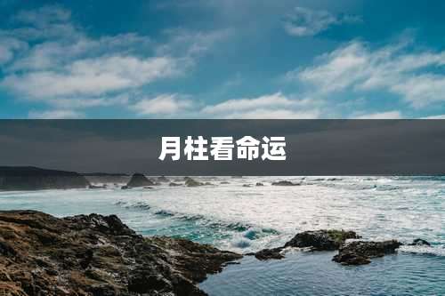 月柱看命运
