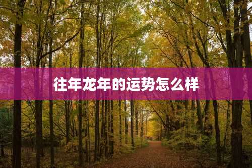 往年龙年的运势怎么样