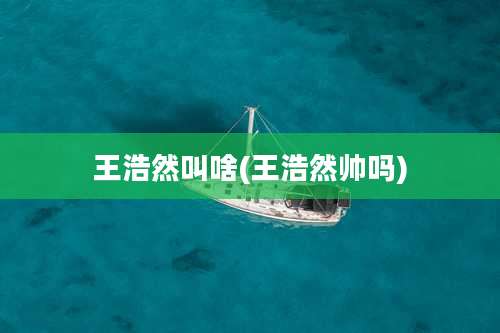 王浩然叫啥(王浩然帅吗)