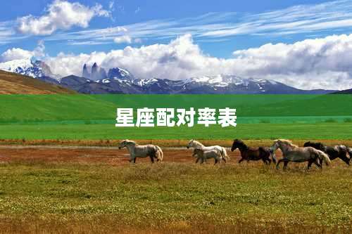 星座配对率表