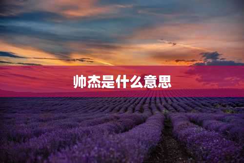 帅杰是什么意思