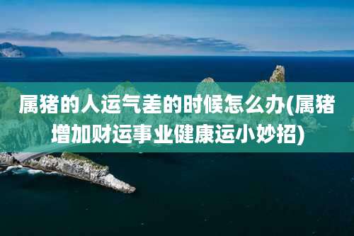 属猪的人运气差的时候怎么办(属猪增加财运事业健康运小妙招)