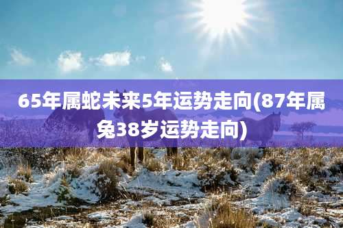 65年属蛇未来5年运势走向(87年属兔38岁运势走向)