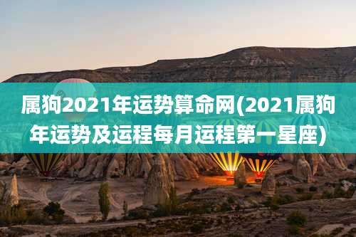 属狗2021年运势算命网(2021属狗年运势及运程每月运程第一星座)