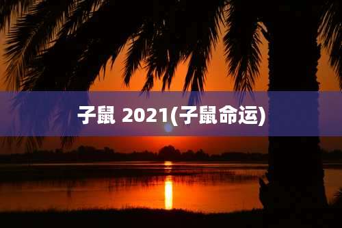 子鼠 2021(子鼠命运)