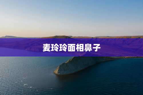 麦玲玲面相鼻子