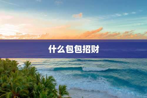 什么包包招财