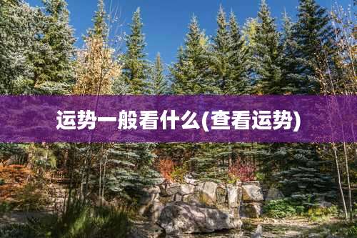 运势一般看什么(查看运势)