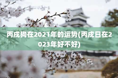 丙戌狗在2021年的运势(丙戌日在2023年好不好)