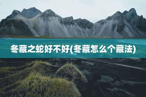 冬藏之蛇好不好(冬藏怎么个藏法)