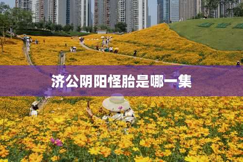 济公阴阳怪胎是哪一集