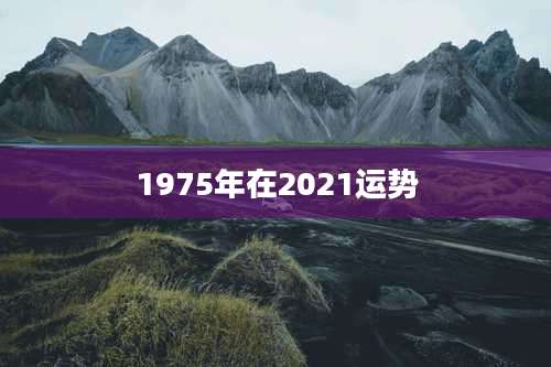 1975年在2021运势