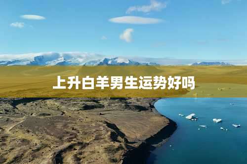 上升白羊男生运势好吗