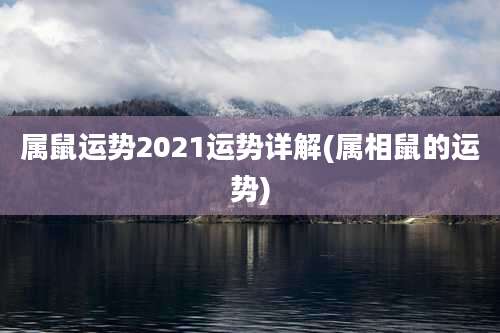 属鼠运势2021运势详解(属相鼠的运势)
