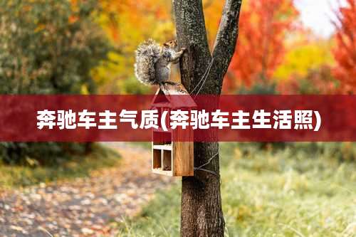 奔驰车主气质(奔驰车主生活照)