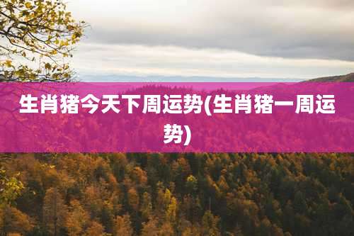 生肖猪今天下周运势(生肖猪一周运势)