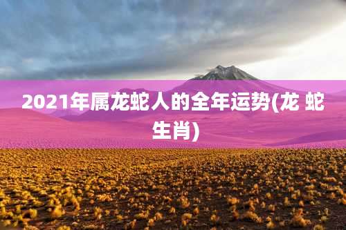 2021年属龙蛇人的全年运势(龙 蛇 生肖)