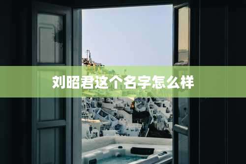 刘昭君这个名字怎么样