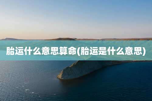 胎运什么意思算命(胎运是什么意思)