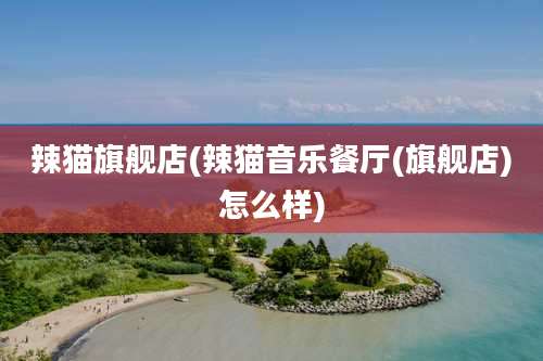 辣猫旗舰店(辣猫音乐餐厅(旗舰店)怎么样)