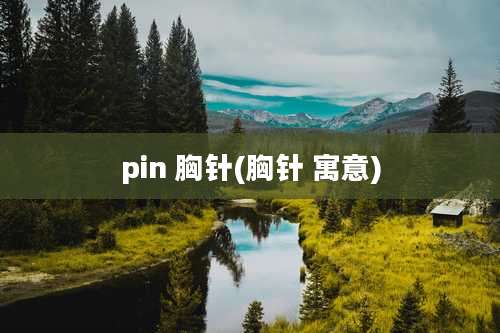 pin 胸针(胸针 寓意)