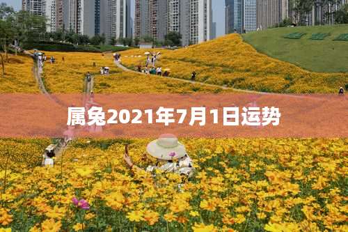 属兔2021年7月1日运势