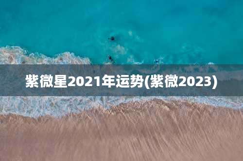 紫微星2021年运势(紫微2023)