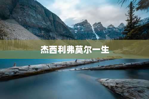 杰西利弗莫尔一生