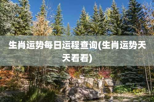 生肖运势每日运程查询(生肖运势天天看看)