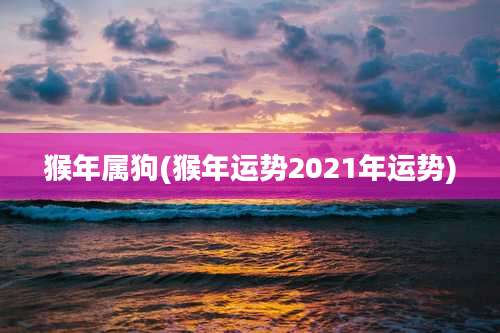 猴年属狗(猴年运势2021年运势)