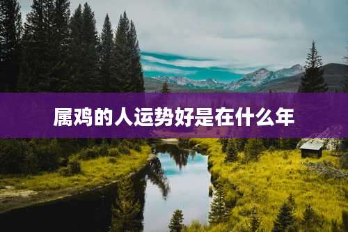 属鸡的人运势好是在什么年