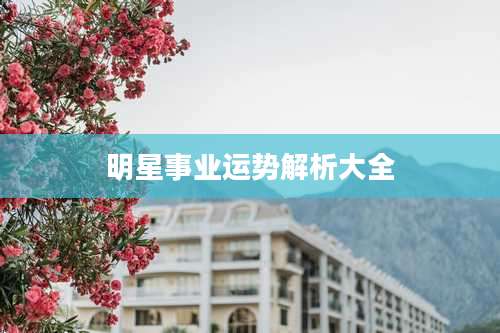 明星事业运势解析大全