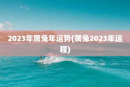 2023年属兔年运势(属兔2023年运程)