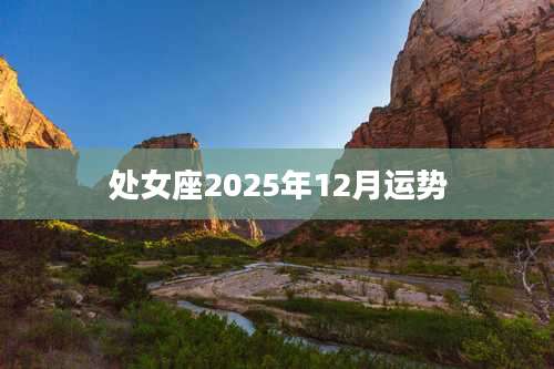 处女座2025年12月运势