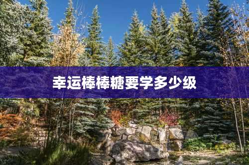 幸运棒棒糖要学多少级