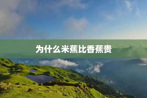 为什么米蕉比香蕉贵