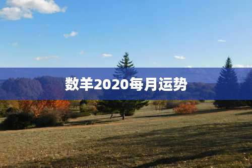 数羊2020每月运势