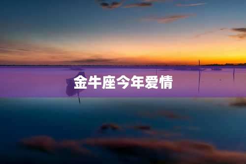 金牛座今年爱情